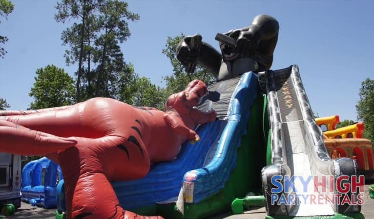 Kongo Crazy T-Rex Double Slide - Video