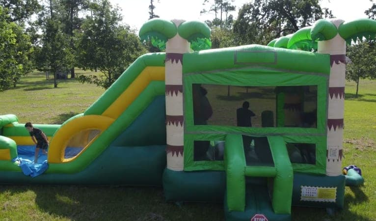 Palm Tree Bounce House Combo Wet or Dry Slide - Video